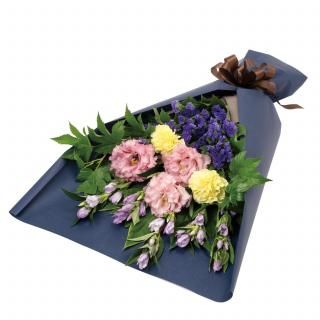 ɥȥȥ륳祦Υåʲ«ʲ֥塼ԥåȤǤϤ