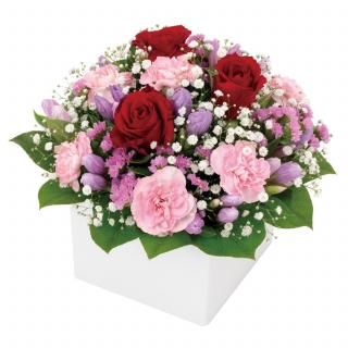 ֥ХȥɥΥ塼֥󥸥ȡʲ֥塼ԥåȤǤϤ