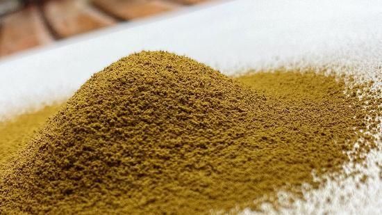 抹茶ラテさま専用　國學院栃木　ラグパン 抹茶ラテさま専用 國學院栃木 ラグパン