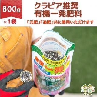 ԥ侩ͭȯ800gʡΧ