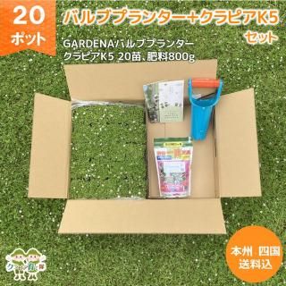 ԥK5 20ݥåȡܥХ֥ץ󥿡800gХ֥ץ󥿡ֿ٤굡סˡܽ͹