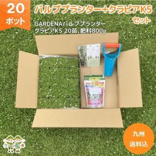 ԥK5 20ݥåȡܥХ֥ץ󥿡800gХ֥ץ󥿡ֿ٤굡סˡڶ彣