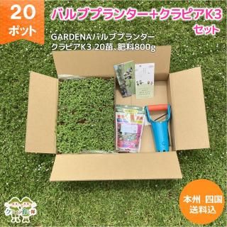 ԥK3 20ݥåȡܥХ֥ץ󥿡800gХ֥ץ󥿡ֿ٤굡סˡܽ͹