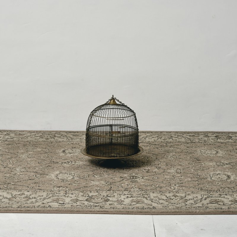 BIRD CAGE<br>ơ Ļ