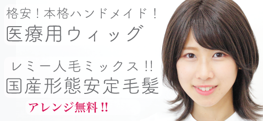 ハイネット ショート ウィッグ 人毛ミックス カツラ 悲しん ハイネット ショート ウィッグ 人毛ミックス カツラ 悲しん
