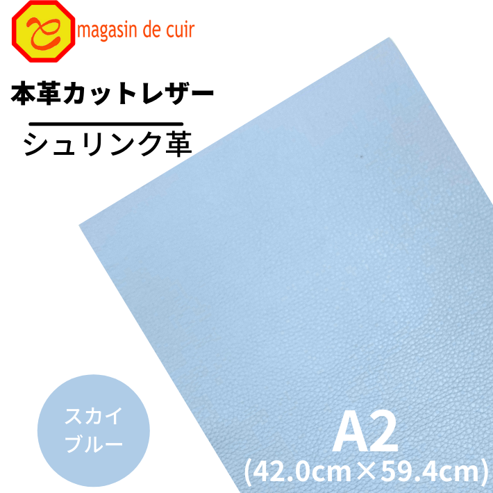 A2եȥ(1303֥롼)