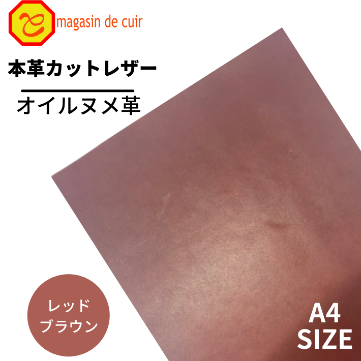 ڥХåȡA4̥(3503åɥ֥饦)