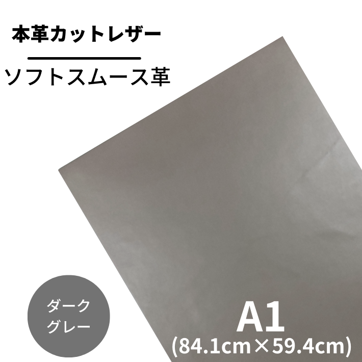 A1եȥࡼ(2101졼)<img class='new_mark_img2' src='https://img.shop-pro.jp/img/new/icons61.gif' style='border:none;display:inline;margin:0px;padding:0px;width:auto;' />