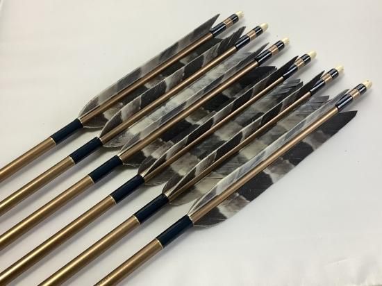 ターキー オオタカ柄 ジュラルミン矢6本セット 2014 青緑色糸 ターキー オオタカ柄 ジュラルミン矢6本セット 2014 青緑色糸
