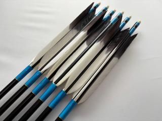 �����������򡡥�����ߥ����ܥ��åȡ�1913�������塡�֥�å�����եȡ�Y-1913K9