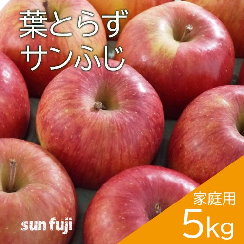 青森葉とらずりんご「サンふじ」家庭用 5kg（約14～20個）のし不可