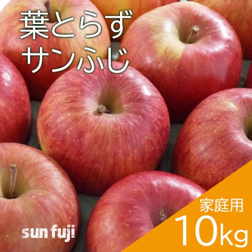 青森葉とらずりんご「サンふじ」家庭用10kg（約28～40個）のし不可 ...