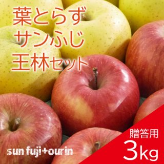 ĿդȤ餺󤴥ߥåʥդӡ£3kg811ġ˥⡼ɵͤᢨȯ12ܺŷˤ夷ޤ