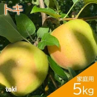 ĿդȤ餺󤴡֥ȥײ5kg1420ġˢ10ܺȯͽꡦΤԲ 