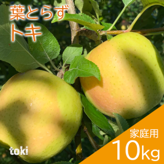 青森葉とらずりんご「トキ」家庭用10kg（約28〜40個）※9月下旬頃より発送予定・のし不可 