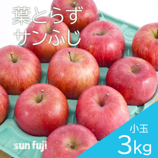 青森葉とらず 小玉りんご「サンふじ」 3kg（約11〜13個）のし不可