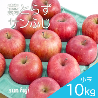 青森葉とらず 小玉りんご「サンふじ」 10kg（約40〜46個）のし不可※今期の販売は未定です