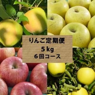 <img class='new_mark_img1' src='https://img.shop-pro.jp/img/new/icons62.gif' style='border:none;display:inline;margin:0px;padding:0px;width:auto;' />ܤդȤ餺ءʲ5kg/6󥳡ߢ2025ǯ٤ϥȥسϤˤʤޤ9ܺȯͽ