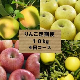 グランドアップル | 青森葉とらずりんご
