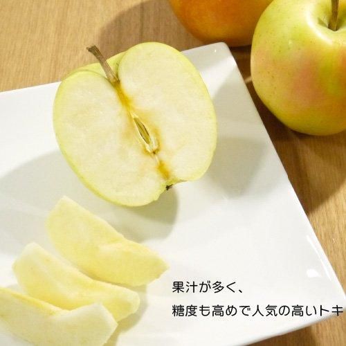 葉とらずりんごトキ 家庭用りんご 小玉りんご