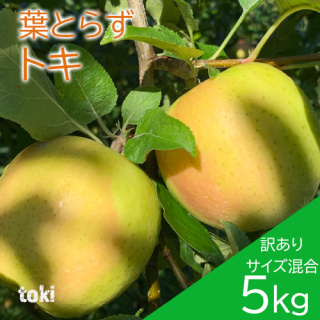 <img class='new_mark_img1' src='https://img.shop-pro.jp/img/new/icons21.gif' style='border:none;display:inline;margin:0px;padding:0px;width:auto;' />ĿդȤ餺󤴡֥ȥꥵ 5kg1423ġˤΤԲͽ