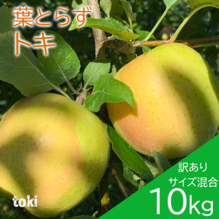 <img class='new_mark_img1' src='https://img.shop-pro.jp/img/new/icons21.gif' style='border:none;display:inline;margin:0px;padding:0px;width:auto;' />ĿդȤ餺󤴡֥ȥꥵ10kg2846ġˤΤԲ