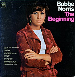 BOBBE NORRIS / THE BEGINNING Original
