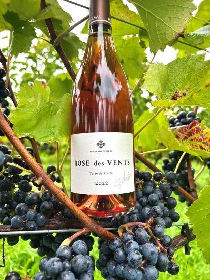 平川ファームオンラインショップ】Rose des Vents Terre de 平川ファームオンラインショップ】Rose des Vents Terre de