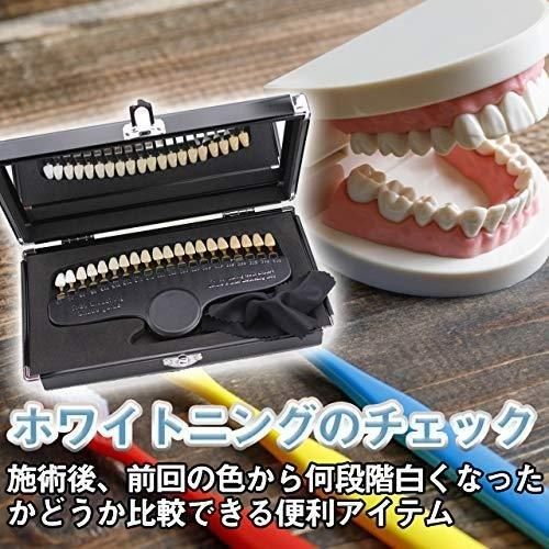 Amazon.co.jp: 歯科ナチュラルダイ材料シェードガイド歯漂白