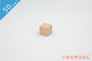 【50mm基尺】25×25×25ｍｍ 単品積み木 立方体  