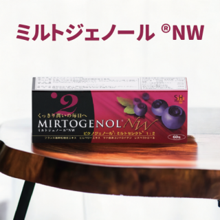 ߥȥΡ®NW<img class='new_mark_img2' src='https://img.shop-pro.jp/img/new/icons29.gif' style='border:none;display:inline;margin:0px;padding:0px;width:auto;' />