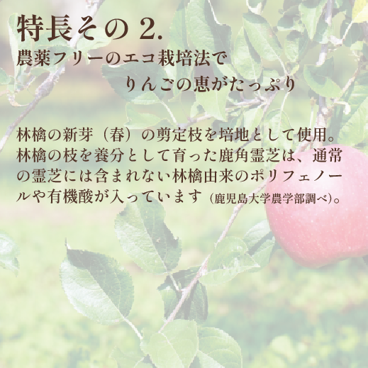 鹿角霊芝秀 - ケンコーハイチ 鹿角霊芝秀 - ケンコーハイチ