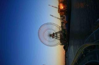 <img class='new_mark_img1' src='https://img.shop-pro.jp/img/new/icons1.gif' style='border:none;display:inline;margin:0px;padding:0px;width:auto;' />ܤʡͤΥݥȥɡ۲ͤߤʤȤߤ餤֤ΤϤϥ photo by MIRO
