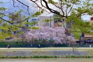 <img class='new_mark_img1' src='https://img.shop-pro.jp/img/new/icons1.gif' style='border:none;display:inline;margin:0px;padding:0px;width:auto;' />ڲ֤ΥݥȥɤAIR۵컳˺餯սϥϤ photo by MIRO