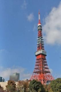 <img class='new_mark_img1' src='https://img.shop-pro.jp/img/new/icons1.gif' style='border:none;display:inline;margin:0px;padding:0px;width:auto;' />ܤΥݥȥɤAIRԹǸࡡսϥϤ photo by MIRO
