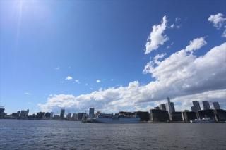 <img class='new_mark_img1' src='https://img.shop-pro.jp/img/new/icons1.gif' style='border:none;display:inline;margin:0px;padding:0px;width:auto;' /> ܤʥݥȥɡ Թ˭鸫ƬΥϥϤ photo by MIRO