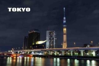 <img class='new_mark_img1' src='https://img.shop-pro.jp/img/new/icons1.gif' style='border:none;display:inline;margin:0px;padding:0px;width:auto;' />ڻȤݥȥɡTOYOĥ꡼ ԥåͶץ饤ƥ󥰤ΥϥϤս(IOCǤϤޤ)