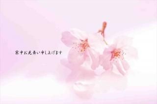 <img class='new_mark_img1' src='https://img.shop-pro.jp/img/new/icons1.gif' style='border:none;display:inline;margin:0px;padding:0px;width:auto;' />ڵΰݥȥAIRִۡ椪񤤿夲ޤ׺β֤ӤսϤϥ