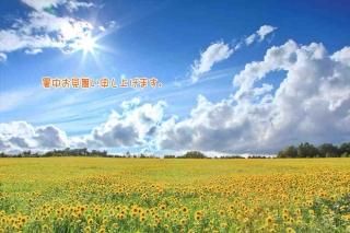 <img class='new_mark_img1' src='https://img.shop-pro.jp/img/new/icons1.gif' style='border:none;display:inline;margin:0px;padding:0px;width:auto;' />ڸꡦƤΰݥȥɡֽۡ椪񤤿夲ޤ׸ȪΥϥϤս