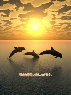 <img class='new_mark_img1' src='https://img.shop-pro.jp/img/new/icons1.gif' style='border:none;display:inline;margin:0px;padding:0px;width:auto;' />ڸꡦƤΰݥȥɡֽۡ椪񤤿夲ޤץ륫η줬ͼθΥϥϤս