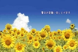 <img class='new_mark_img1' src='https://img.shop-pro.jp/img/new/icons1.gif' style='border:none;display:inline;margin:0px;padding:0px;width:auto;' />ڸƤΰݥȥɡֽۡ椪񤤿夲ޤ׸ ҤޤĤΥϥϤս