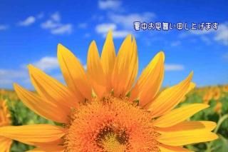<img class='new_mark_img1' src='https://img.shop-pro.jp/img/new/icons1.gif' style='border:none;display:inline;margin:0px;padding:0px;width:auto;' />ڸƤΰݥȥɡֽۡ椪񤤿夲ޤ׸ ҤޤĤΥϥϤս