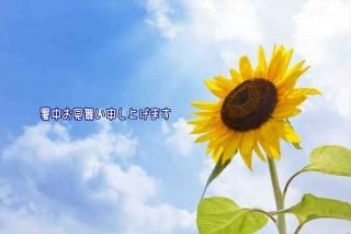 <img class='new_mark_img1' src='https://img.shop-pro.jp/img/new/icons1.gif' style='border:none;display:inline;margin:0px;padding:0px;width:auto;' />ڸƤΰݥȥɡֽۡ椪񤤿夲ޤ׸ ҤޤΥϥϤս