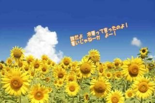<img class='new_mark_img1' src='https://img.shop-pro.jp/img/new/icons1.gif' style='border:none;display:inline;margin:0px;padding:0px;width:auto;' />ڸƤΥݥȥɡۡï ƤäƸäΤ 뤤͡ 衼 ׸ҤޤΥϥϤս