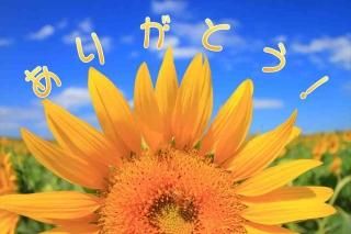 <img class='new_mark_img1' src='https://img.shop-pro.jp/img/new/icons1.gif' style='border:none;display:inline;margin:0px;padding:0px;width:auto;' />ڸƤθݥȥɡ֤꤬ۡȤ׸ҤޤΥϥϤս