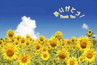 <img class='new_mark_img1' src='https://img.shop-pro.jp/img/new/icons1.gif' style='border:none;display:inline;margin:0px;padding:0px;width:auto;' />ڸƤθݥȥɡ֤꤬ۡȤ Thank you׸ҤޤΥϥϤս
