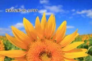 <img class='new_mark_img1' src='https://img.shop-pro.jp/img/new/icons1.gif' style='border:none;display:inline;margin:0px;padding:0px;width:auto;' />ڸƤλĽ븫񤤥ݥȥɡֻۡĽ뤪񤤿夲ޤװؤθҤޤս Ϥϥ