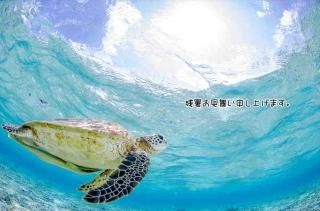 <img class='new_mark_img1' src='https://img.shop-pro.jp/img/new/icons1.gif' style='border:none;display:inline;margin:0px;padding:0px;width:auto;' />ڸƤλĽ븫񤤥ݥȥɡֻۡĽ뤪񤤿夲ޤ׳ߥս Ϥϥ