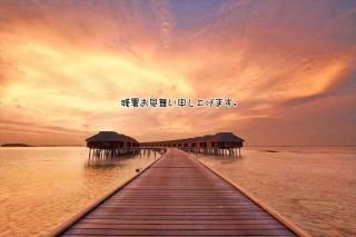 <img class='new_mark_img1' src='https://img.shop-pro.jp/img/new/icons1.gif' style='border:none;display:inline;margin:0px;padding:0px;width:auto;' />ڸƤλĽ븫񤤥ݥȥɡֻۡĽ뤪񤤿夲ޤͼΥơս Ϥϥ