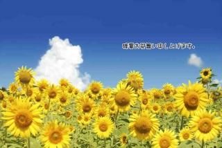 <img class='new_mark_img1' src='https://img.shop-pro.jp/img/new/icons1.gif' style='border:none;display:inline;margin:0px;padding:0px;width:auto;' />ڸƤλĽ븫񤤥ݥȥɡֻۡĽ뤪񤤿夲ޤ׸ҥޥҤޤս Ϥϥ